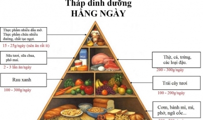 Chế độ dinh dưỡng HỢP LÝ cho trẻ mẫu giáo, mầm non